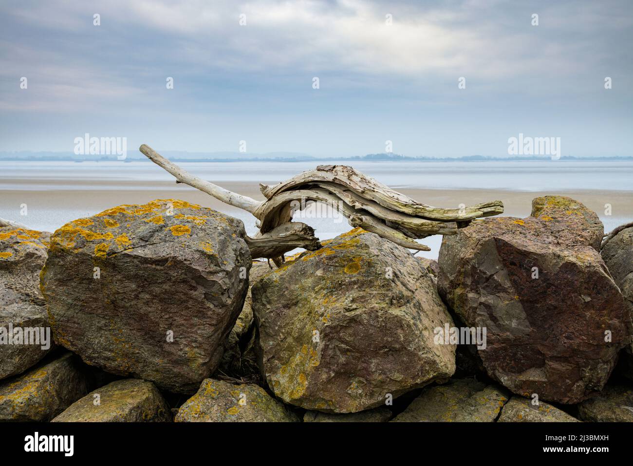 Driftwood s'est rattrapé sur les blocs de défense contre les inondations de l'estuaire de Severn. Banque D'Images