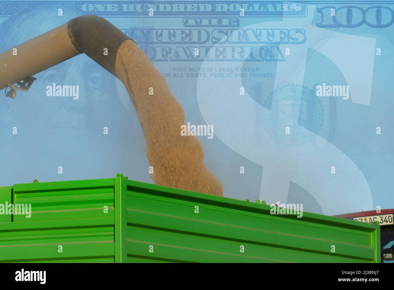 Image symbole sur le sujet du prix du blé - les grains de blé sont chargés sur des remorques, avec le dollar américain en arrière-plan Banque D'Images