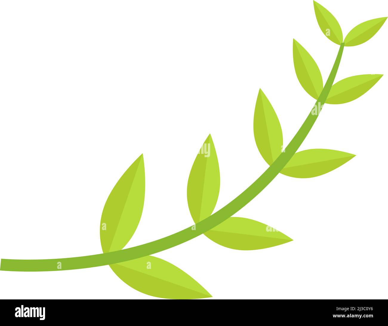 Branche verte avec feuilles. Pousse-arbre. Progéniture végétale Illustration de Vecteur
