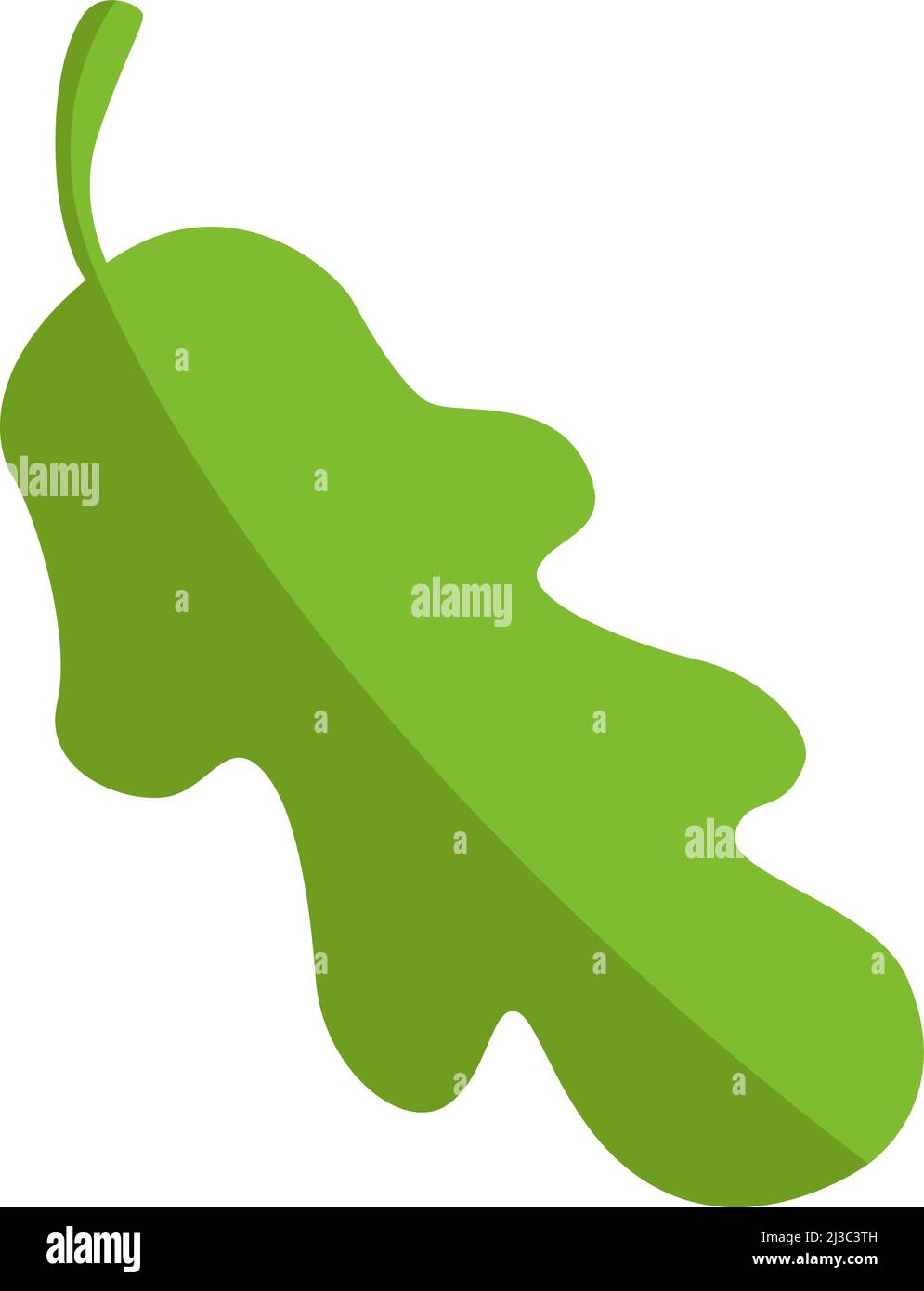 Feuille de chêne. Feuillage d'arbre vert. Symbole de forêt Illustration de Vecteur