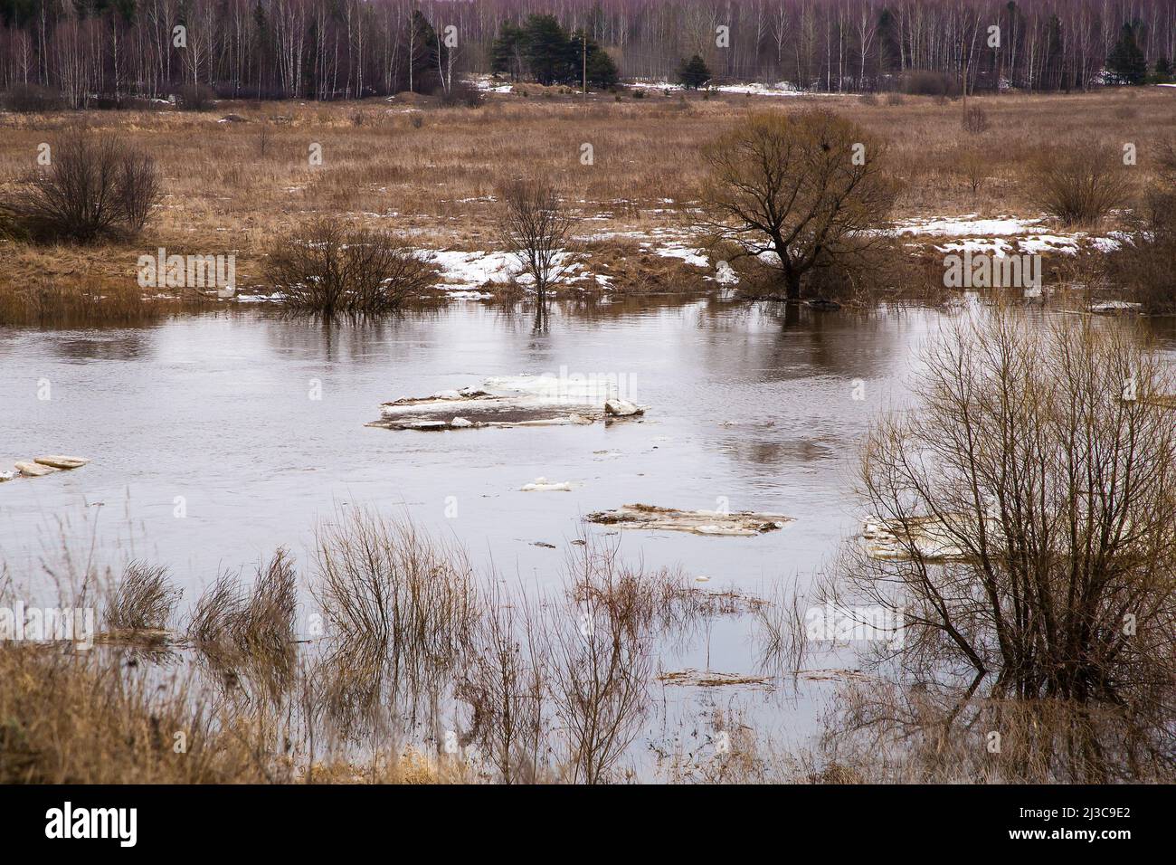 De petites flotteurs de glace brisés flottent sur la rivière. Le printemps, la neige fond, l'herbe sèche tout autour, les inondations commencent et la rivière déborde. Jour, temps nuageux, lumière douce et chaude. Banque D'Images