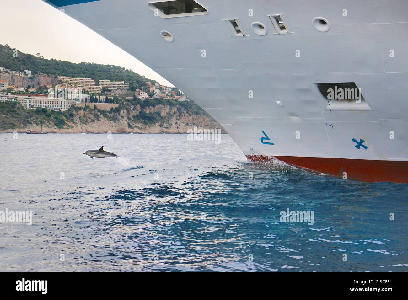 Dauphin surfant sur la vague d'arc du bateau de croisière Star Breeze (ancien esprit Seabourn) près de Monaco Monte Carlo , Banque D'Images