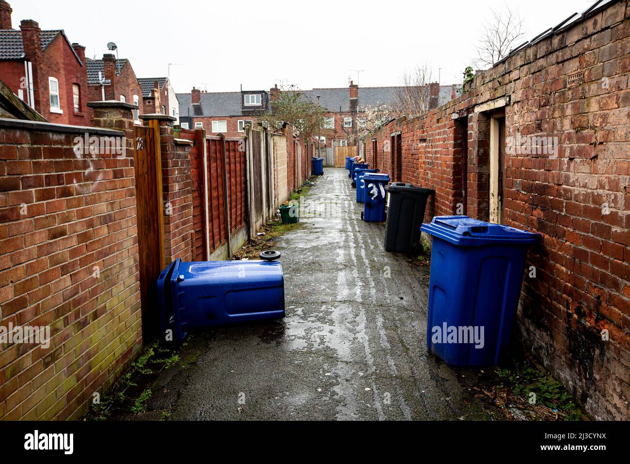 L'arrière-rue de rangées de maisons mitoyennes dans une ville en panne dans le nord de l'Angleterre avec des bennes à roues laissées pour la collecte de bord de route avec espace de copie Banque D'Images