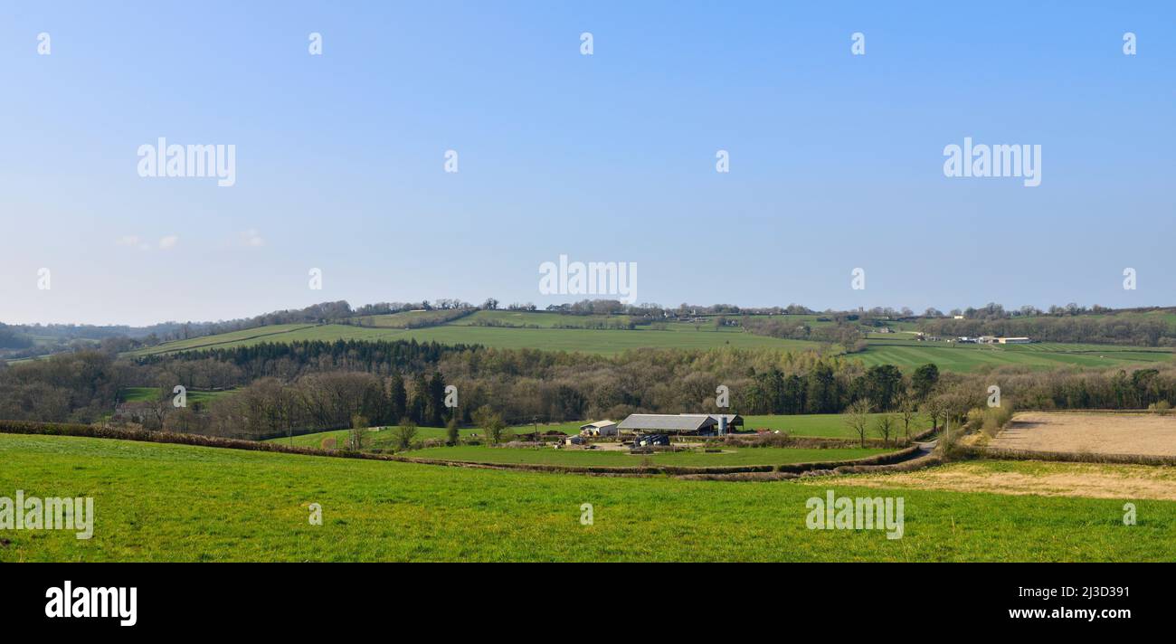 Campagne du Somerset avec champs dans les collines de Mendip, Royaume-Uni, début du printemps Banque D'Images
