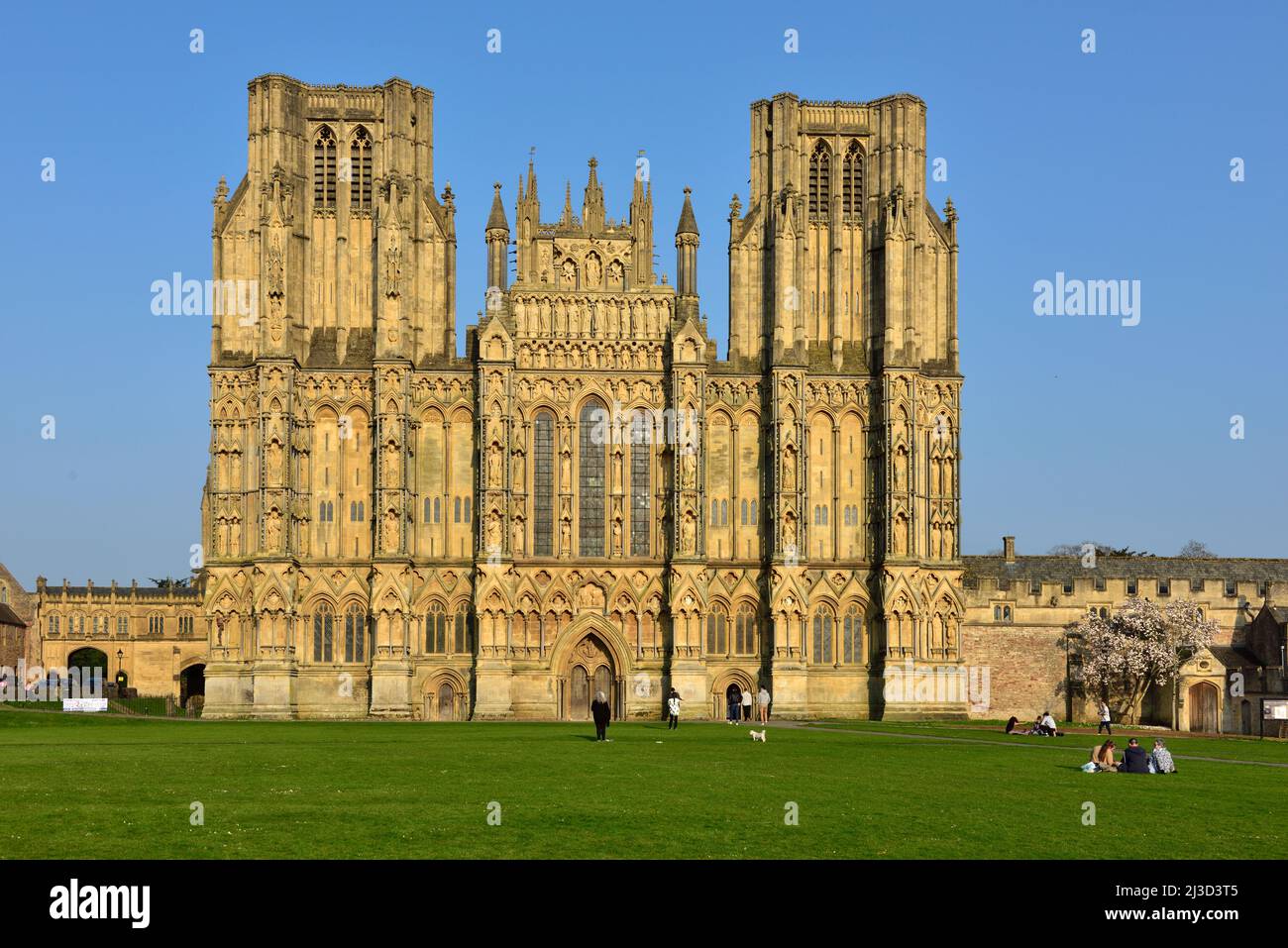 Avant ouest et entrée et vert de la cathédrale de Wells 12th Century, Wells, Somerset, Royaume-Uni Banque D'Images