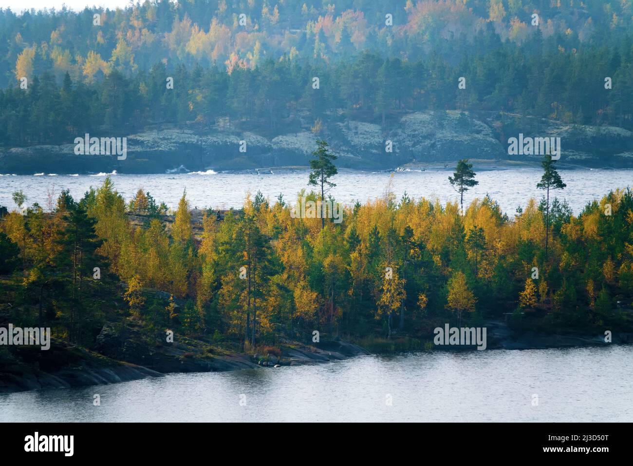 Bouclier cristallin Baltique, esker. Paysage glacié (chaînage glaciaire). cape en pierre, roche de berger avec petit bouleau d'automne, pins nains en LAD du Nord Banque D'Images