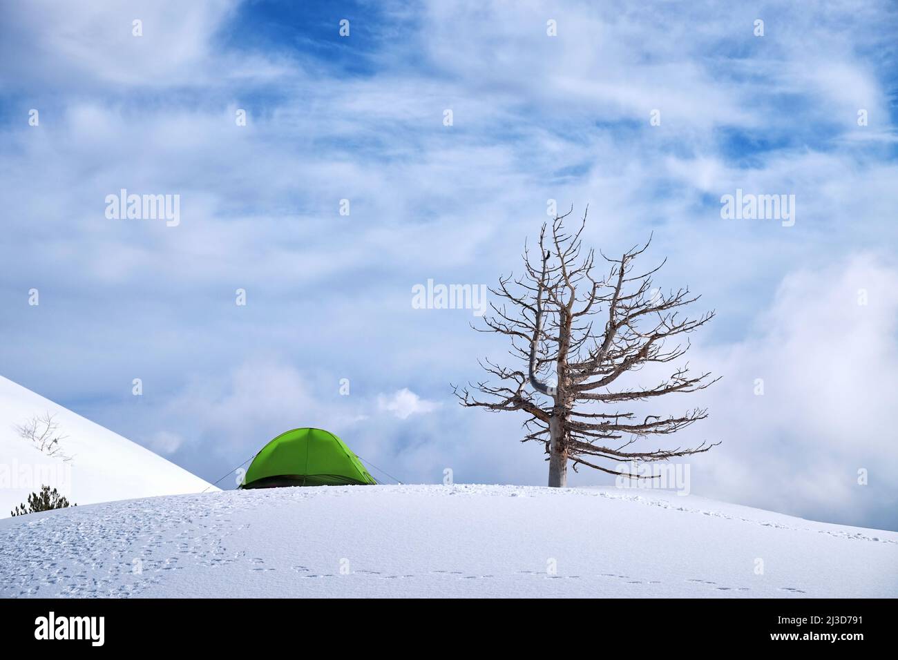 Tente verte et arbre mort contre ciel nuageux en hiver Etna Park, Sicile Banque D'Images