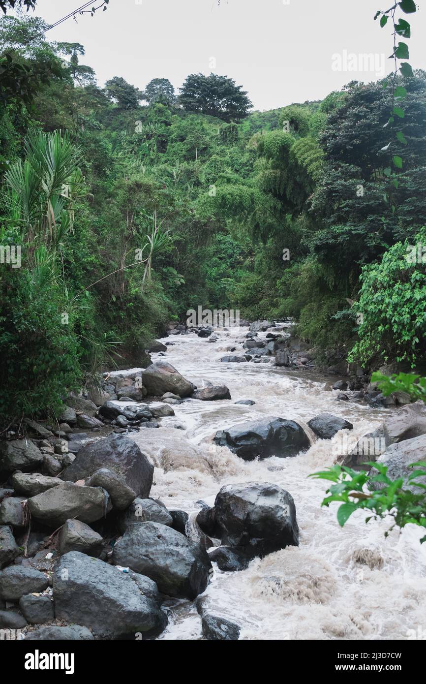 rivière polluée par les eaux usées que les gens rejettent, près de la ville de Pereira-Colombie. Ruisseau très sale qui pollue les eaux de la rivière Otun. cree Banque D'Images
