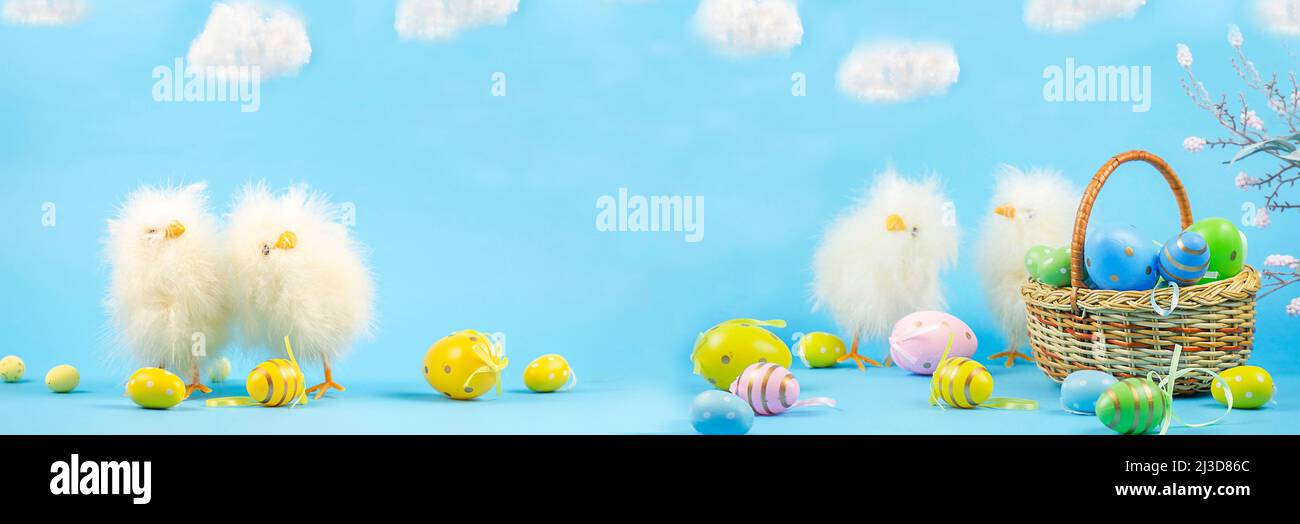 Composition de Pâques avec œufs Pascal et poulets. Pâques sur fond bleu. Panier avec œufs de Pâques. Poussin. Bannière. Espace de copie Banque D'Images