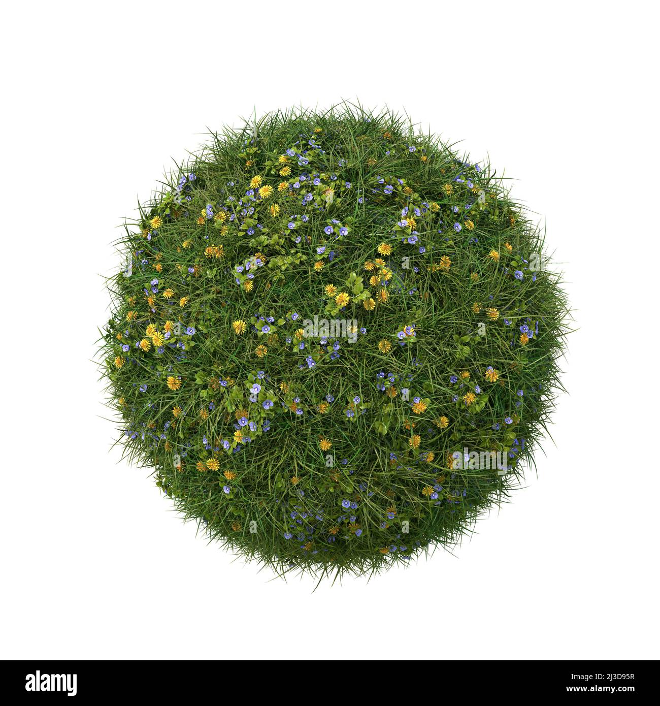 Boule d'herbe avec fleurs et pissenlits veronica, isolée sur blanc. 3D image. Banque D'Images