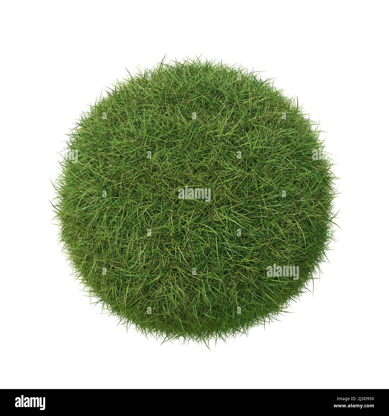 Boule d'herbe isolée sur blanc. 3D image. Banque D'Images