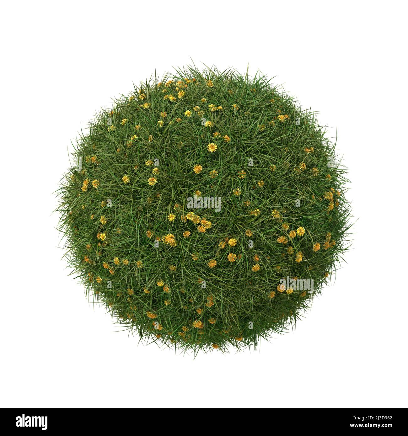 Balle d'herbe avec pissenlits isolés sur blanc. 3D image. Banque D'Images