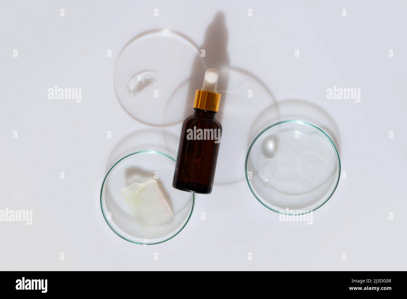 Boîte de Petri en verre avec sérum pur transparent pour les soins de la peau Banque D'Images Boîte de Petri en verre avec sérum pur transparent pour les soins de la peau Banque D'Images
