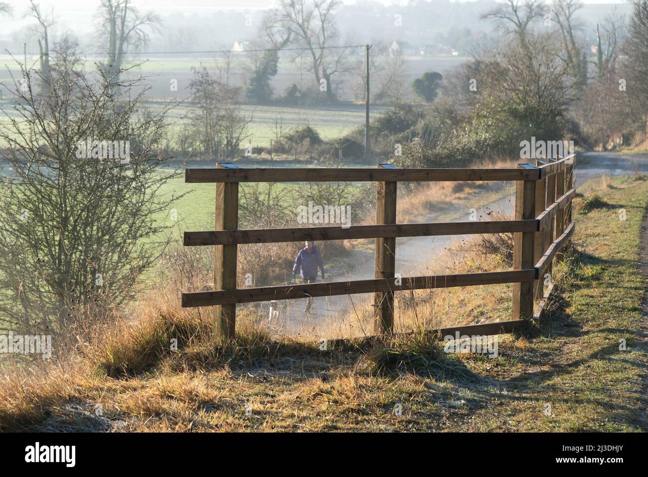 Scène d'hiver sur la section de chemin le long de l'ancien chemin de fer près de Didcot, Oxfordshire avec chien marcheur descendant et chemin de sortie Banque D'Images