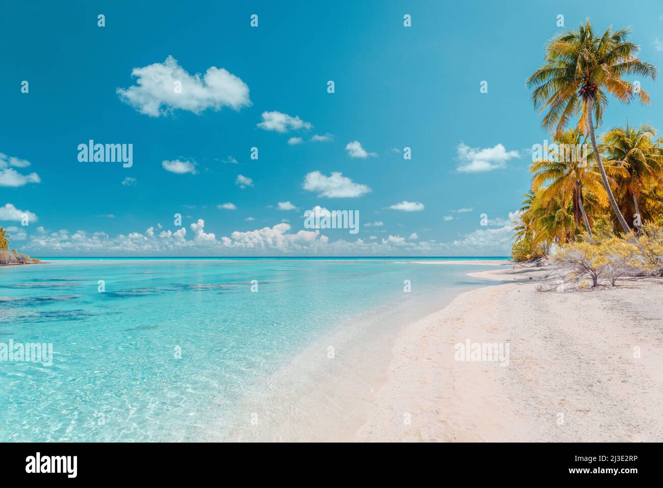 Vacances à la plage paradisiaque escapade tropicale dans l'atoll de Rangiroa, îles de Tuamotu, Polynésie française. Tahiti destination lune de miel avec idyllique Banque D'Images