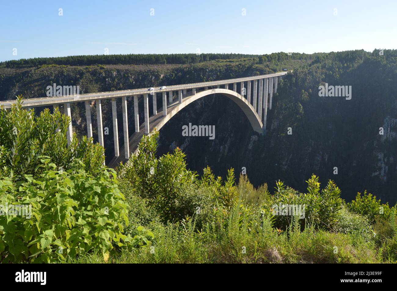 Bloukrans bunjee jumping bridge est un pont en arc situé près de Nature's Valley et dans Knysna Garden Route Western Cape en Afrique du Sud Banque D'Images