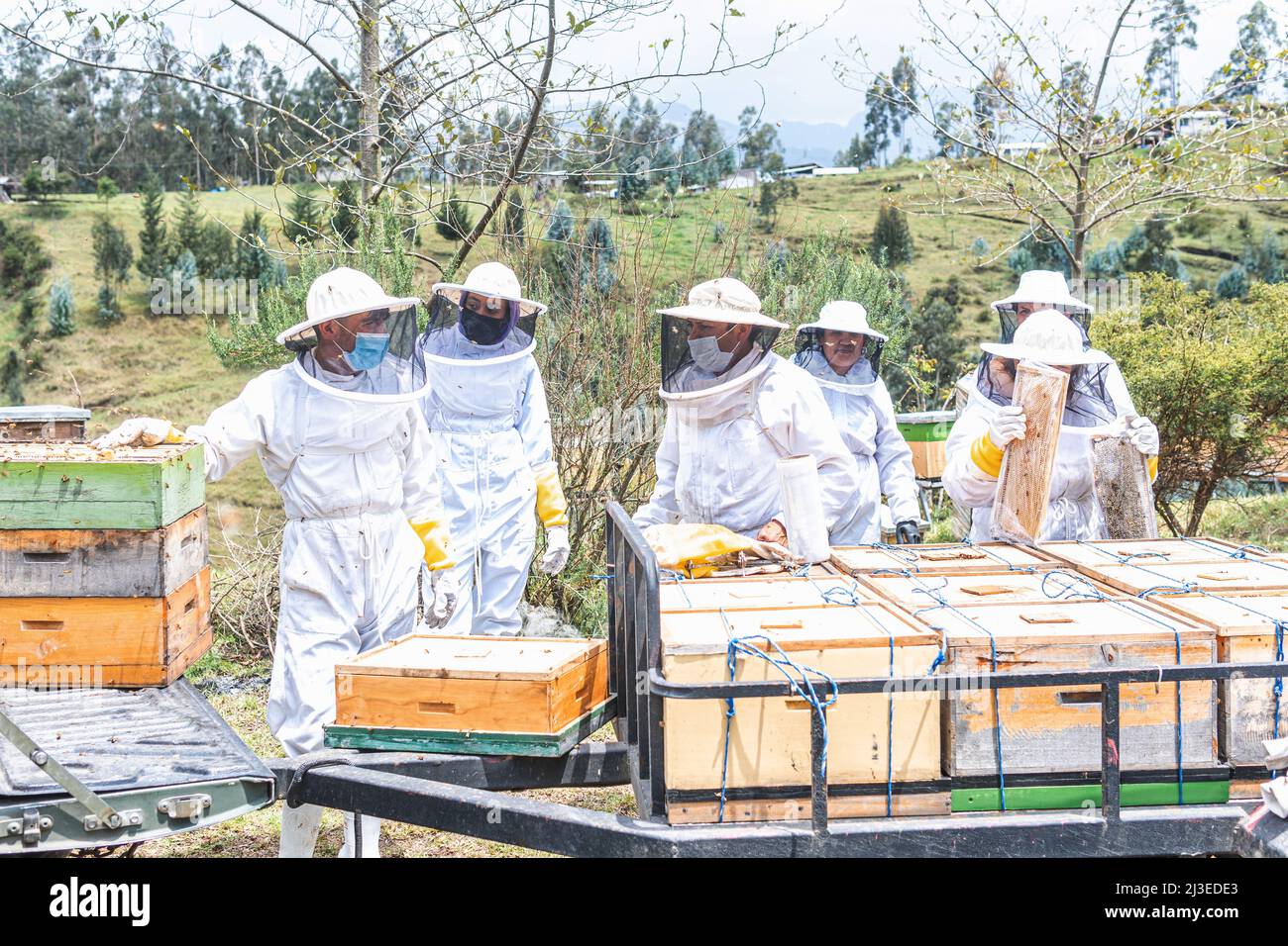 Groupe de apiculteurs mâles et femelles préparant des nids d'abeilles pour le transport. Concept de récolte de miel d'abeille Banque D'Images