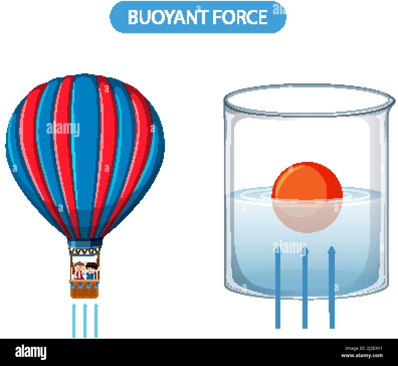 Exemple d'expérience de force de flottaison Illustration de Vecteur