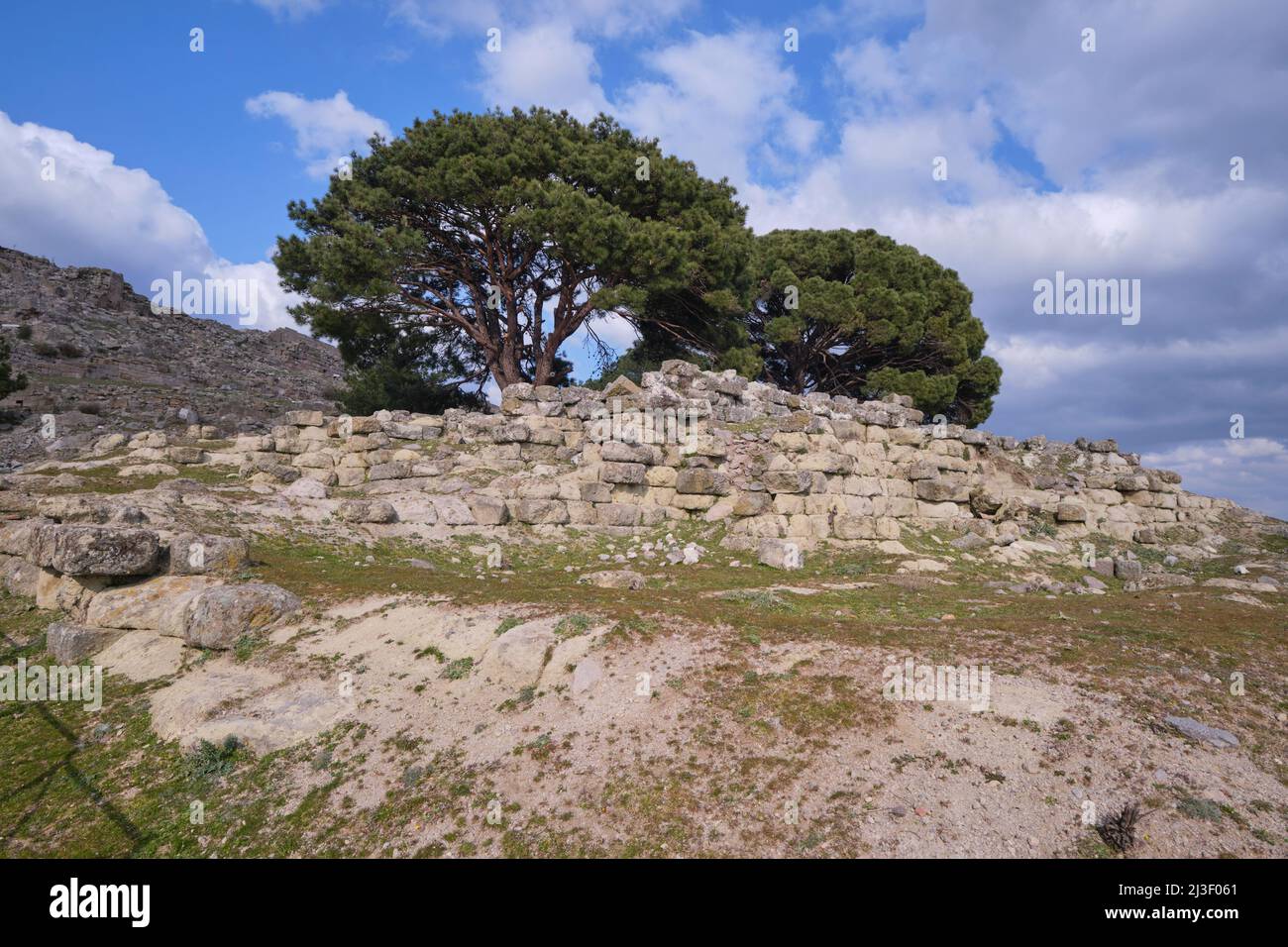 Les arbres poussent sur la fondation du célèbre autel de Zeus. Les fragments de l'autel sont dans un musée de Berlin, Allemagne. À l'ancienne colline de la ville grecque tardive Banque D'Images