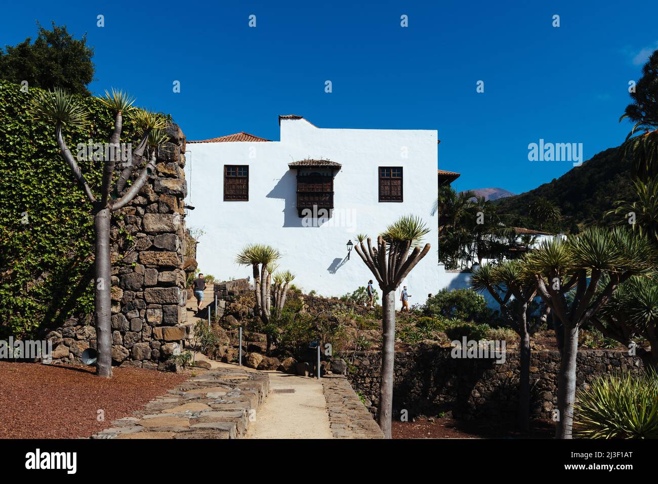 Icod de los Vinos, Espagne - 12 août 2021 : Parc Drago autour de Drago Milenario. L'arbre monumental est l'un des symboles de Ténérife et a été déclaré Banque D'Images