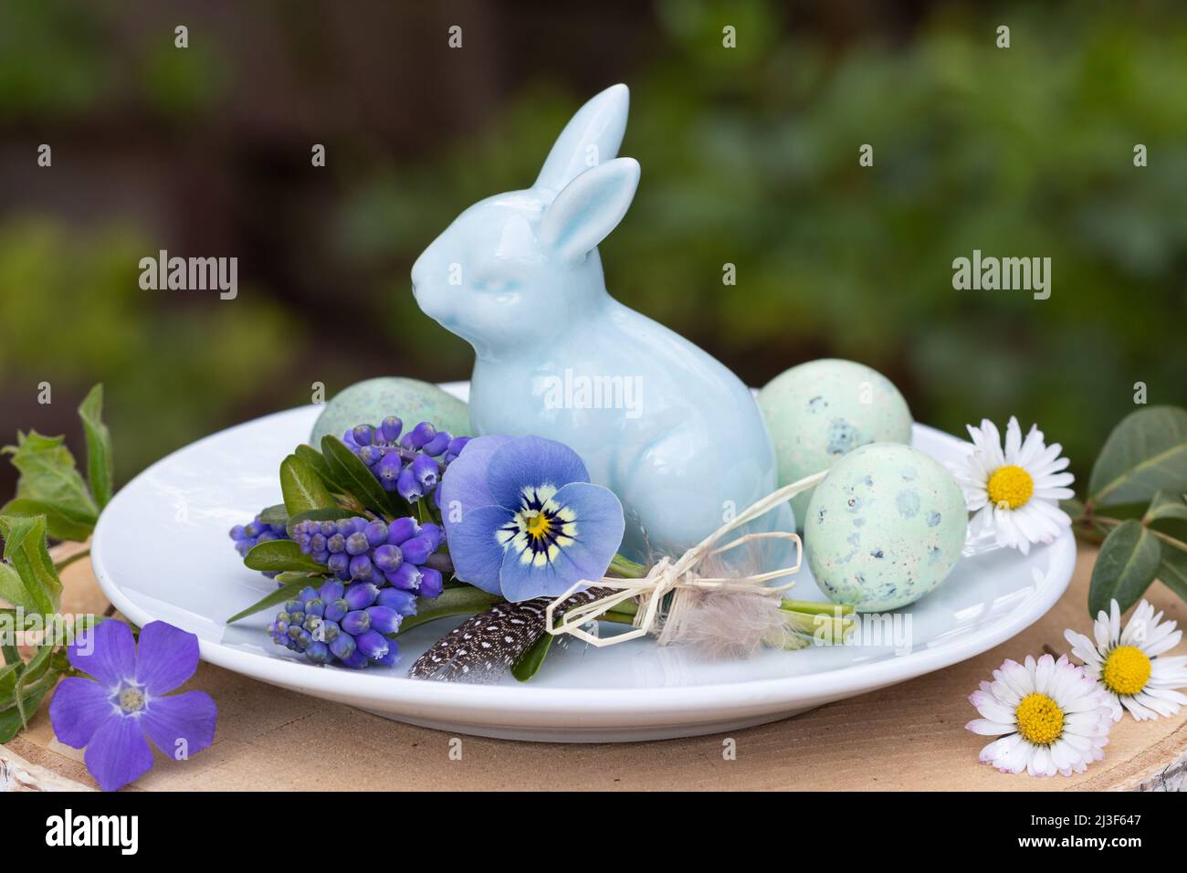 décoration de pâques avec bouquet de fleurs de violette bleues et jacinthes de raisin, lapin de pâques et œufs de caille Banque D'Images