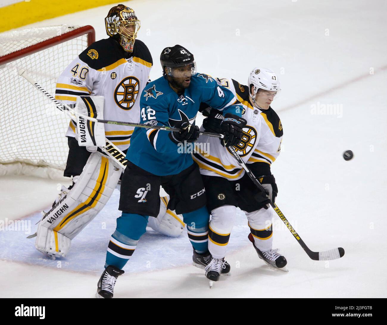 Joel Ward de San Jose Sharks (42) cherche le palet contre le Torey King de Boston Bruins (47) dans la deuxième période le dimanche 19 février 2017, au SAP Center à San Jose, Californie. (Photo de Nhat V. Meyer/Bay Area News Group/TNS/Sipa USA) Banque D'Images