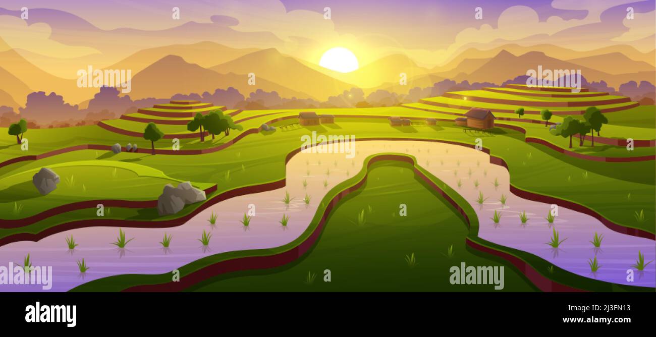 Terrasses de rizières asiatiques au matin paysage de montagnes. Plantation de paddy, cascade ferme dans la montagne et canal d'eau avec des plantes en croissance, paysage mead Illustration de Vecteur