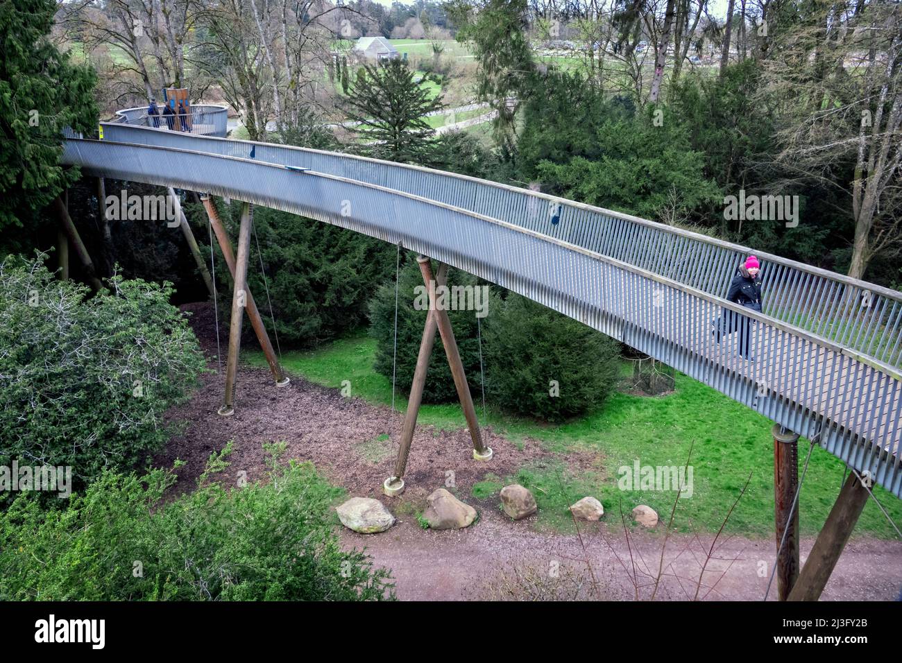 La promenade Stihl Treetop Walk à l'arboretum national de Westonbirt Tetbury, Royaume-Uni Banque D'Images