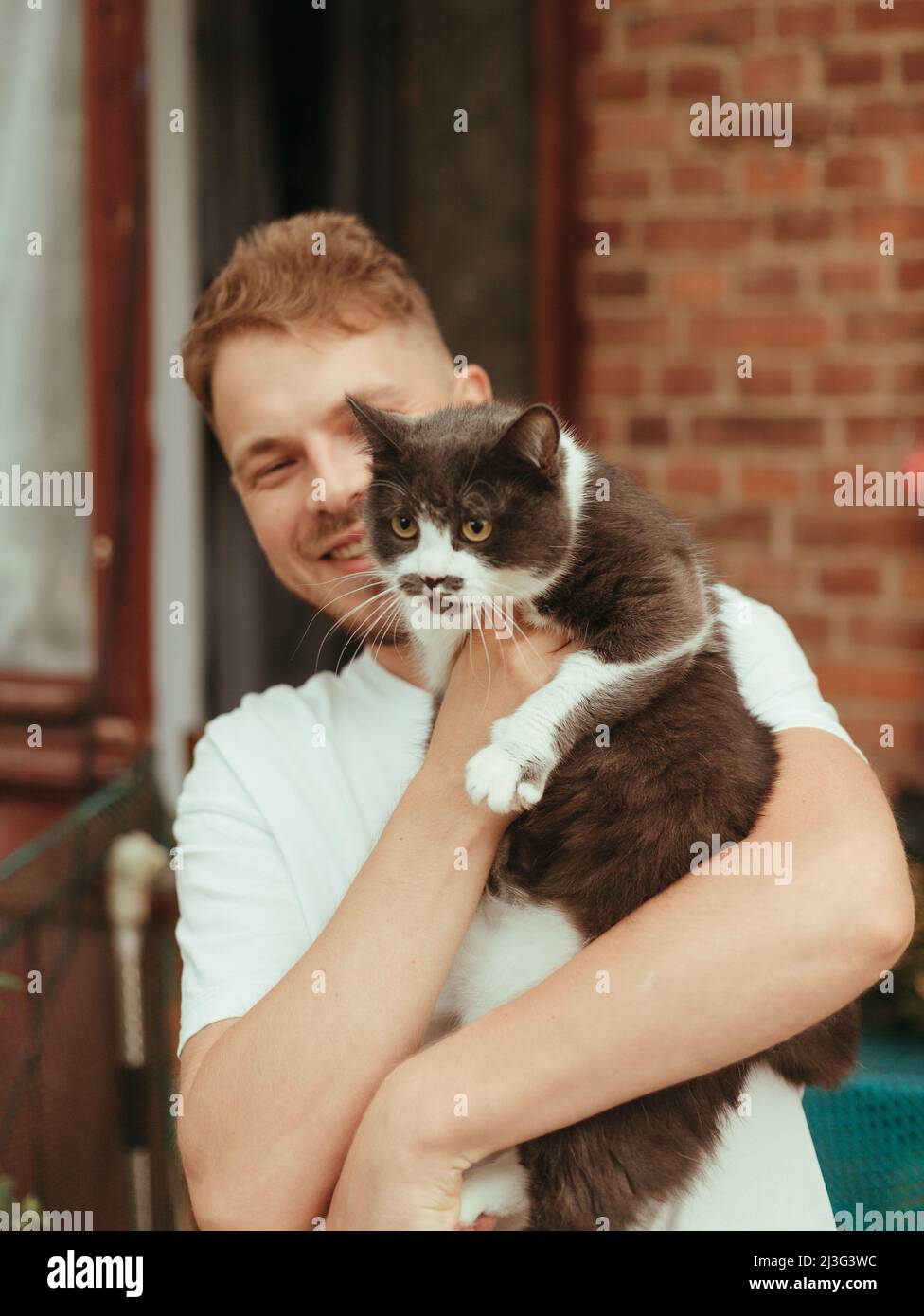 Homme tenant le chat entre les mains. Gris britannique Cat Homme avec chat souriant. Effet pluie Banque D'Images