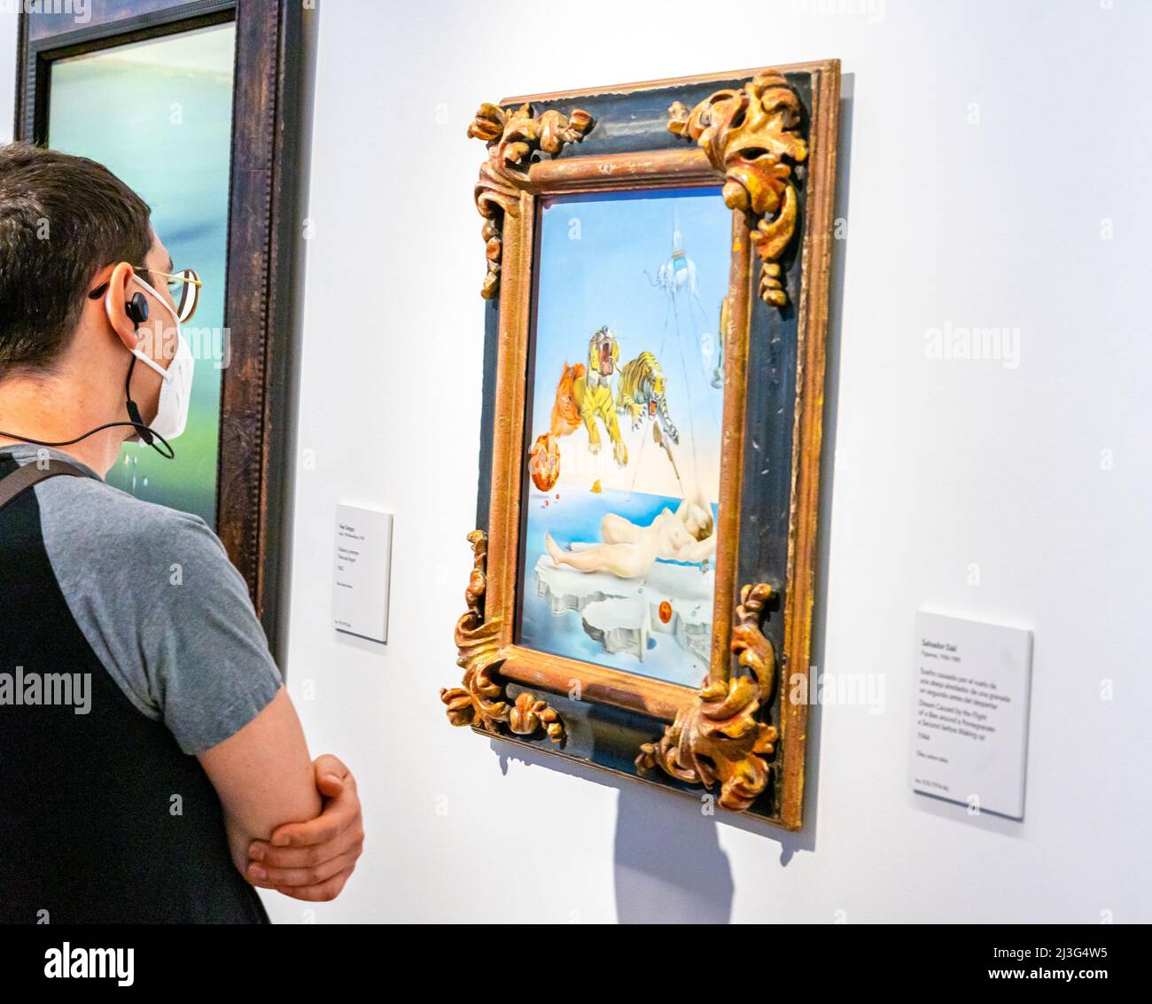 Salvador Dali rêve causé par le vol d'une abeille autour d'un grenade