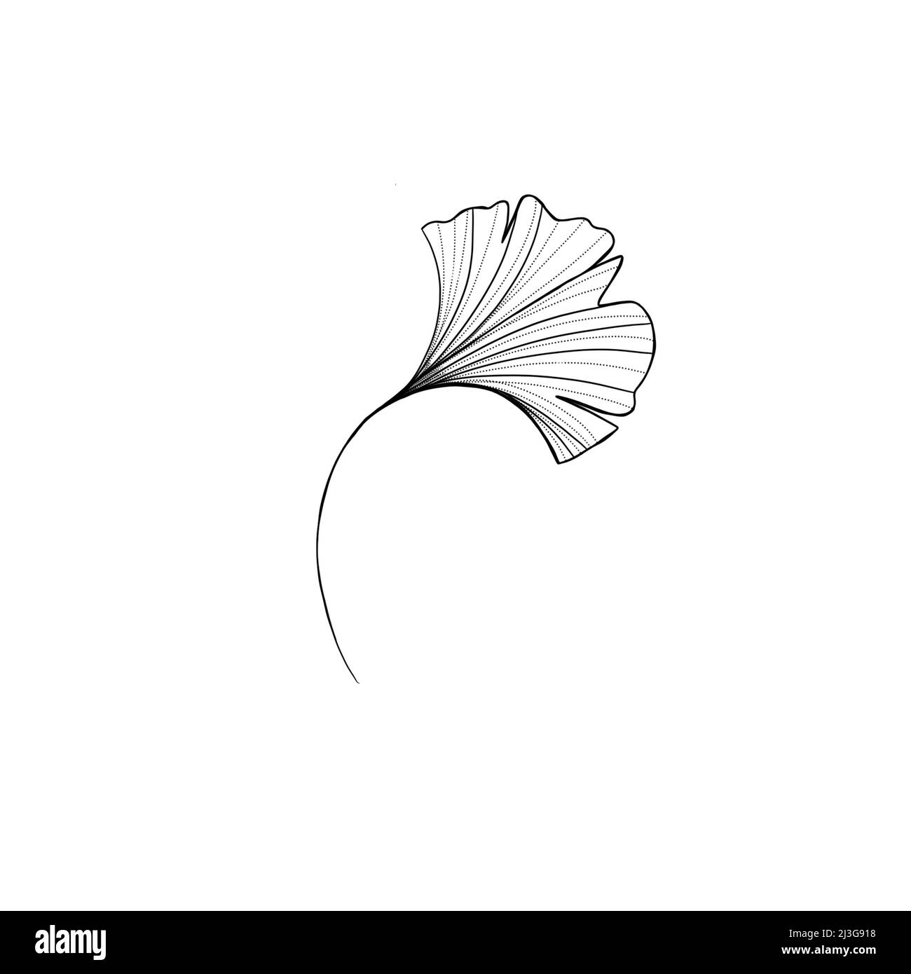 ginkgo laisse un croquis détaillé, idée de tatouage botanique Banque D'Images