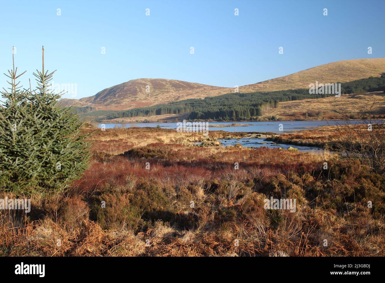 Galloway Forest Park - Écosse Banque D'Images