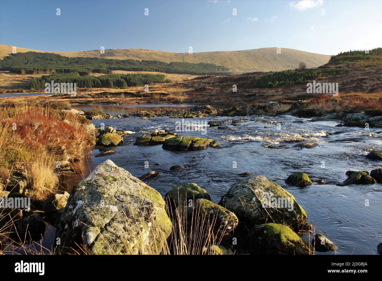 Galloway Forest Park - Écosse Banque D'Images