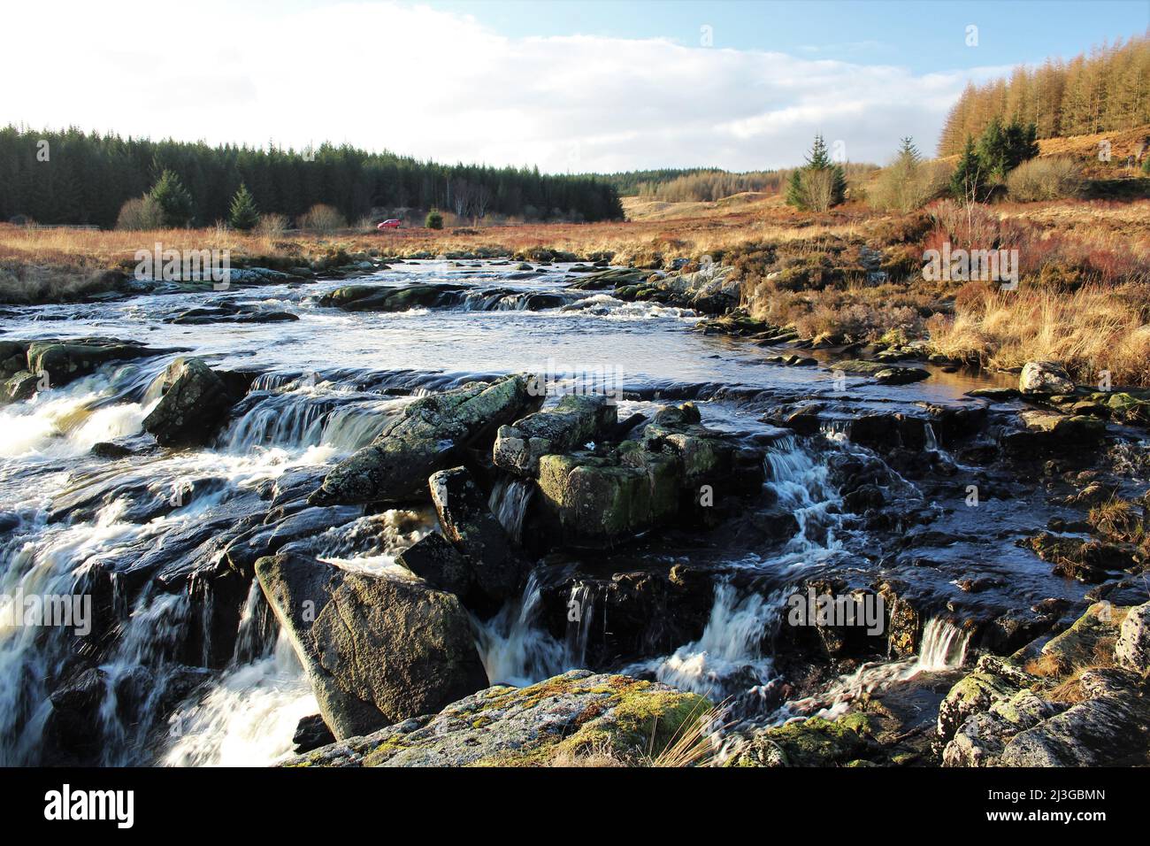 Galloway Forest Park - Écosse Banque D'Images