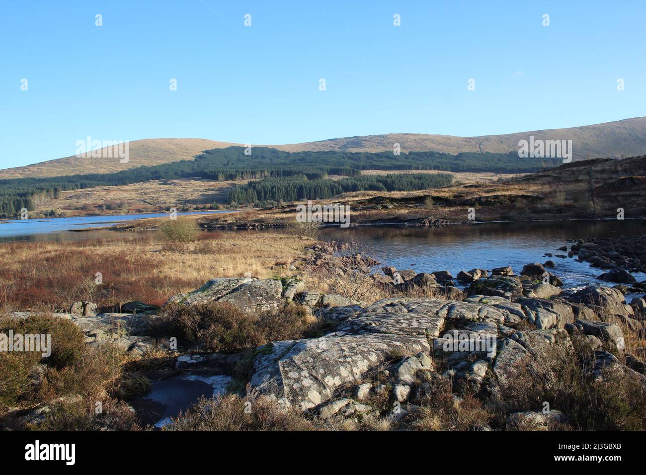 Galloway Forest Park - Écosse Banque D'Images