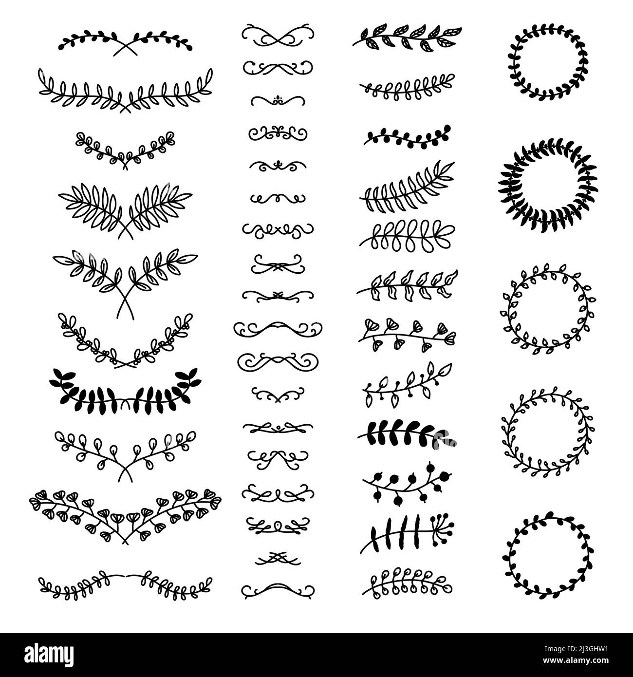 Séparateurs de texte floraux. Branches d'arbre avec feuilles et fleurs. Image de Laurier vectorisée à la main Illustration de Vecteur