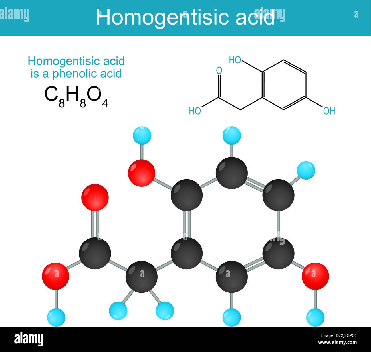 acide homogentisique. Formule chimique structurale d'un acide homogentisique. Formule squelettique d'acide phénolique. Alkaptonurie. Illustration vectorielle Illustration de Vecteur