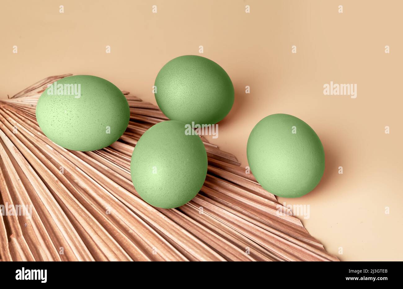 Œufs de Pâques teints en vert sur fond beige. Tradition de la fête chrétienne. Nourriture écologique de la ferme naturelle. Photo de haute qualité Banque D'Images