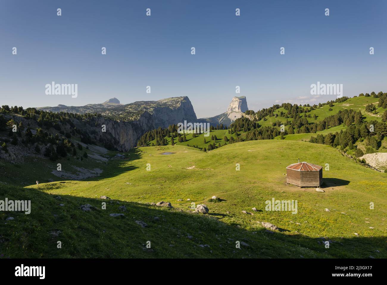 France, Isère, Parc naturel régional du Vercors (Parc naturel régional du Vercors), qui abrite Chamailloux et Mont aiguille (2 086 m) des hauts plateaux du Vercors Banque D'Images