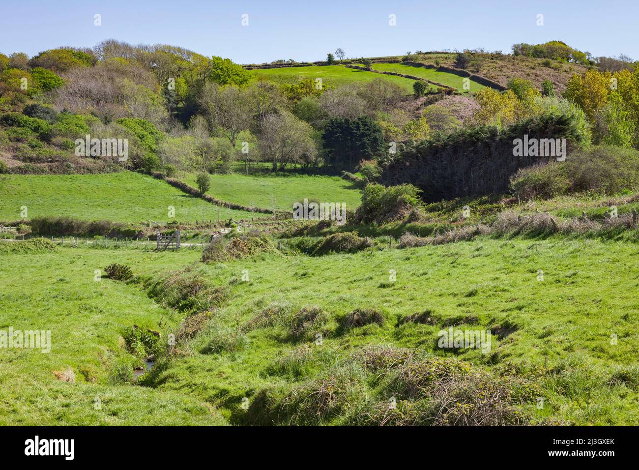 France, Manche, Cotentin, Cap de la Haye, Omonville-la-petite, crique Saint-Martin, paysage de campagne du bocage normand Banque D'Images