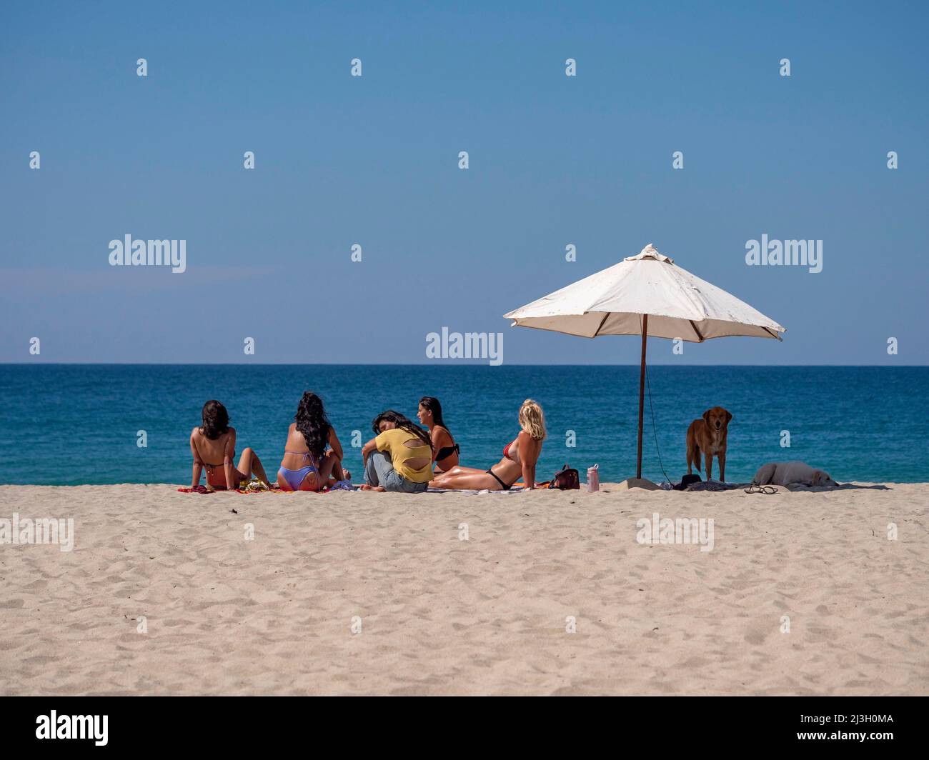 Mexique, Etat d'Oaxaca, Puerto Escondido, plage de Punta Zicatela, atmosphère de bord de mer, bronzant sur la plage, un chien se protège du soleil sous un parapluie Banque D'Images