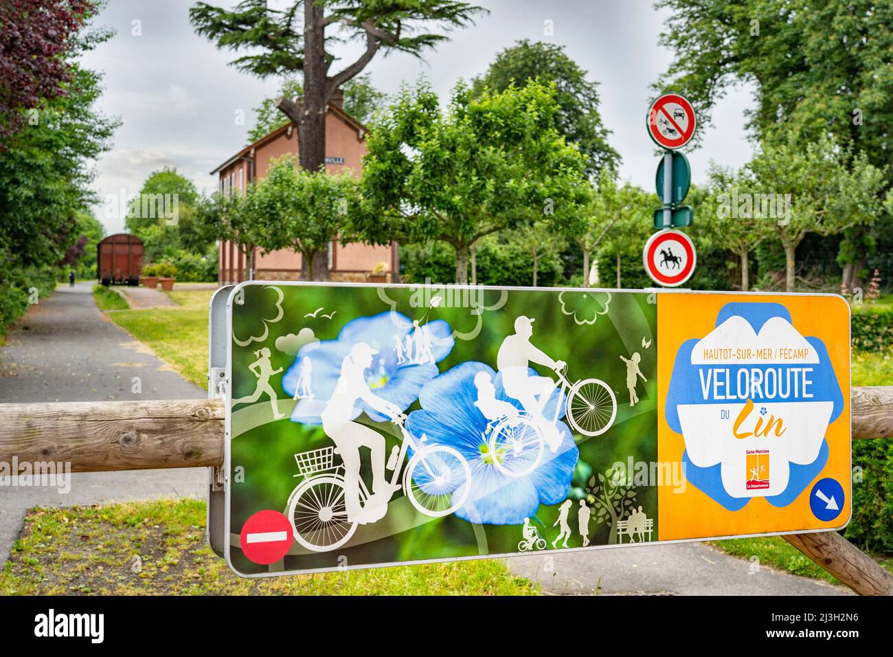 France, Seine Maritime, Offranville, piste cyclable à travers les champs de lin reliant Dieppe à Fécamp Banque D'Images