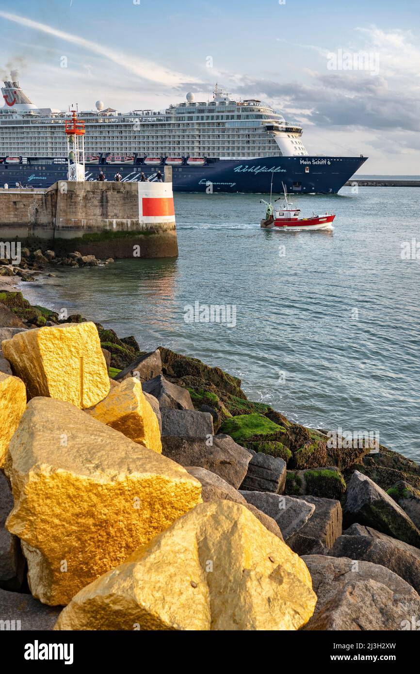 France, Seine Maritime, le Havre, Mein Schiff 6 bateau de croisière quitte le port, Gold Coast, oeuvre de Hehe pour un été au Havre 2021 Banque D'Images