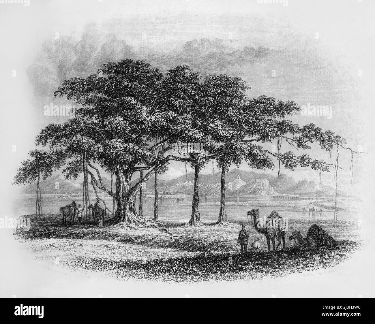 'Le campement de Runjeet Singh à Roopur', 1845. Arbre de Banjan sur les rives de la rivière Sutlej en Inde. De "Hindostan, les rives de la mer Rouge, et les montagnes de l'Himalaya, vol. I". [Fisher, son & amp; Co., Londres, 1845] Banque D'Images