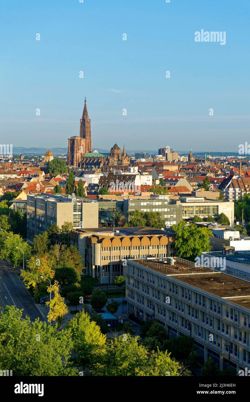 France, Bas Rhin, Strasbourg, quartier Esplanade, campus Esplanade, Université de Strasbourg et en arrière-plan la vieille ville classée au patrimoine mondial de l'UNESCO avec la cathédrale notre-Dame Banque D'Images