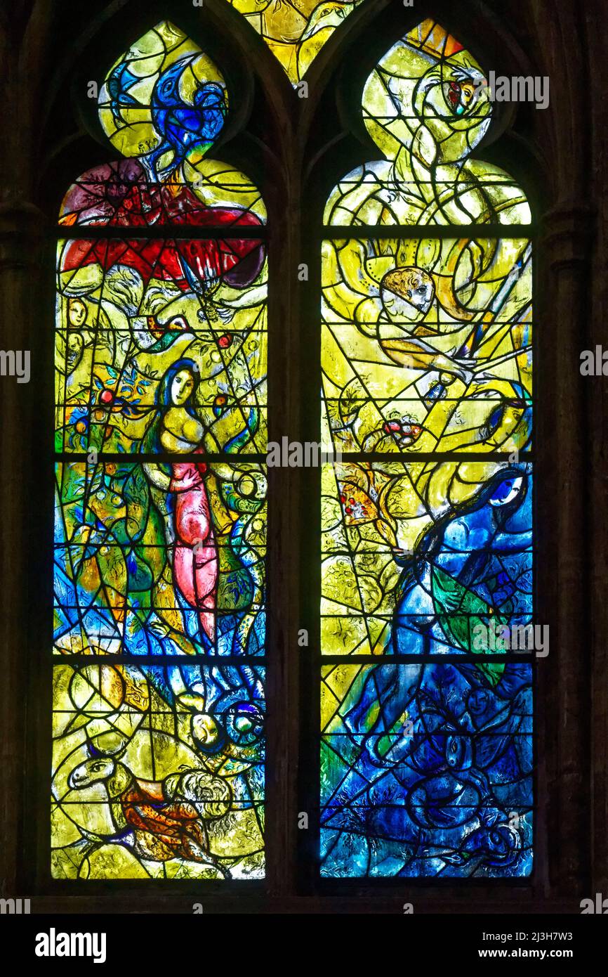 France, Moselle, Metz, cathédrale Saint Etienne, vitraux de la création, vitraux du Nord ambulatoire ayant pour sujets épisodes de l'ancien Testament par Marc Chagall (20th siècle) réalisé par l'atelier Simon Marq à Reims Banque D'Images