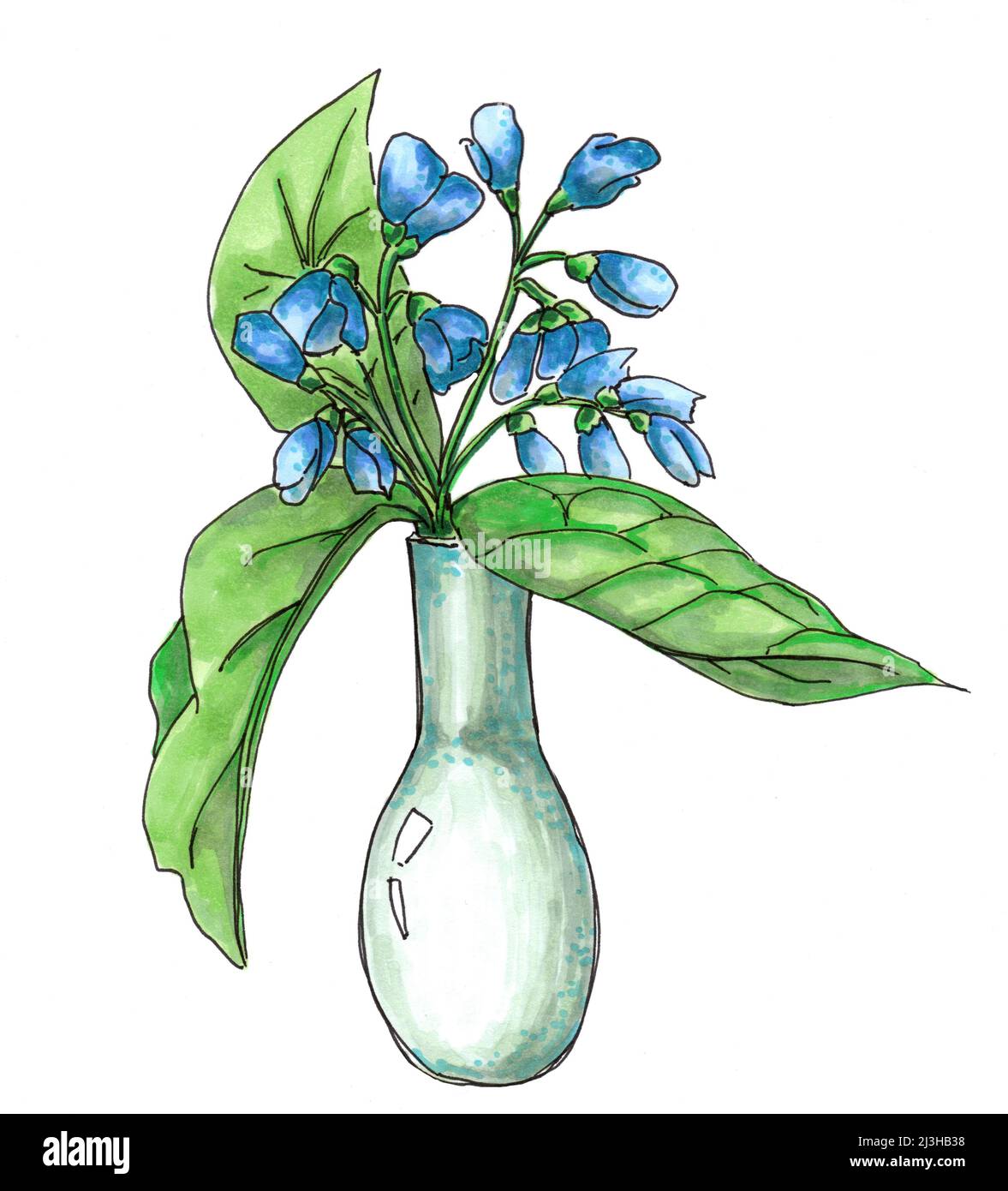 Fleurs bleues dans un vase avec des feuilles. Dessiné à la main avec des marqueurs d'alcool petit bouquet. Banque D'Images
