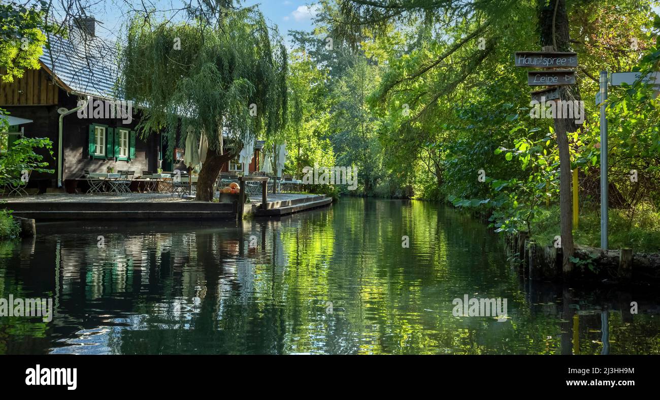 Idylle verte sur un canal dans la forêt de Spree Banque D'Images