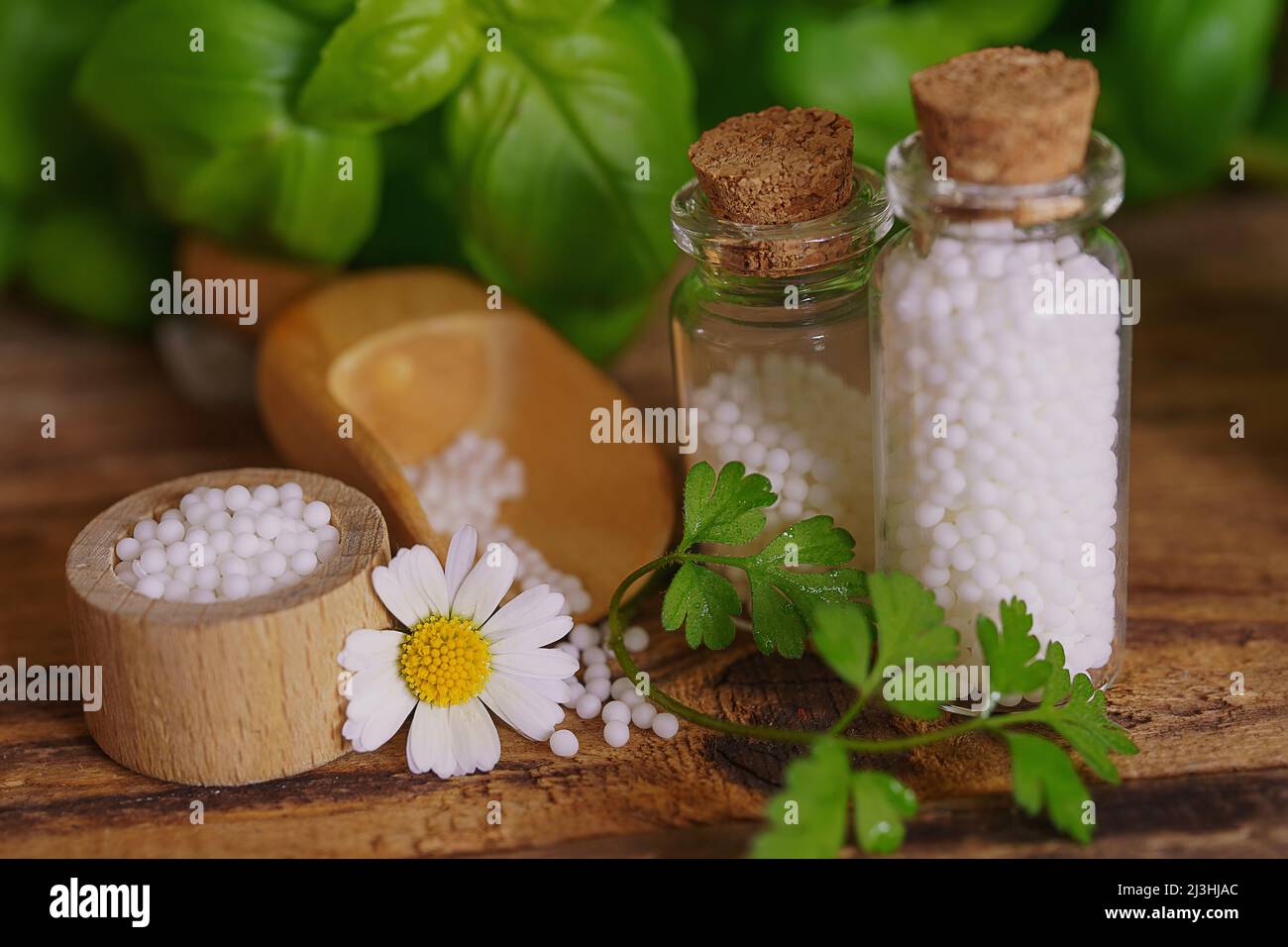 Flacons médicaux en verre sur table en bois, remplis de globulis. Décoration avec feuilles et fleurs. Homéopathie conzept. Banque D'Images