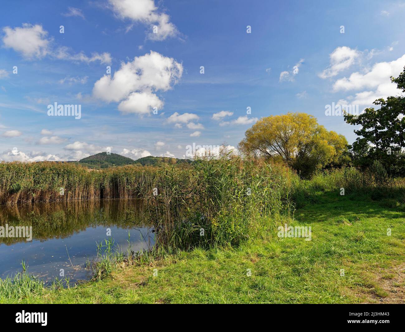 Le Lautensee dans la réserve naturelle Mainaue près d'Augsfeld, ville Hassfurt, quartier Hassberge, Basse-Franconie, Franconie, Bavière, Allemagne Banque D'Images